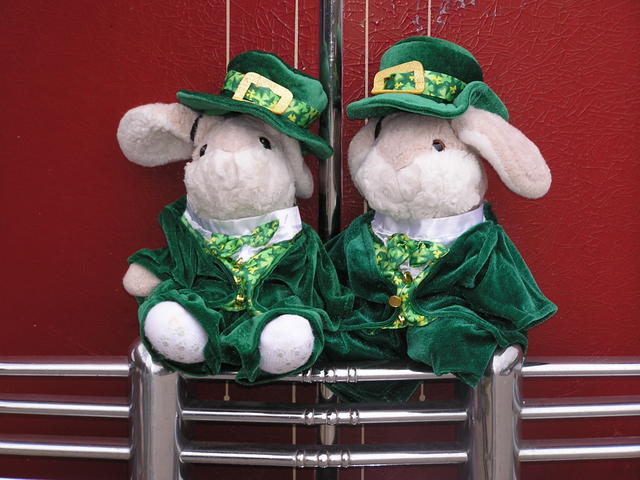 Irish Bunnies.JPG